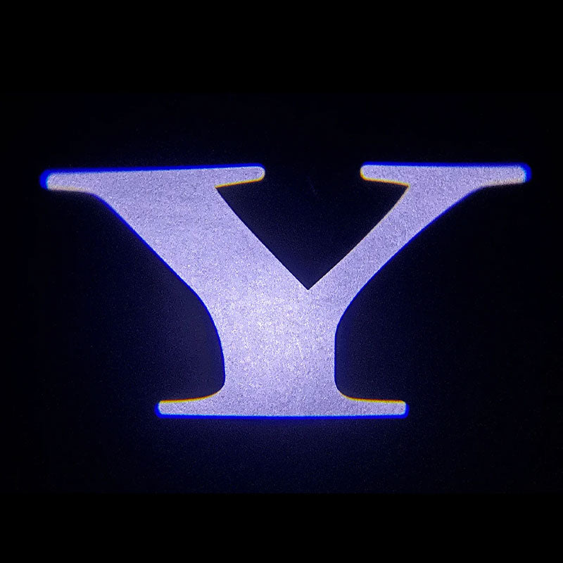 Dørlys med logo 2 stk for Model Y 2021-2024